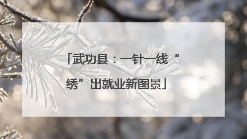 武功县：一针一线“绣”出就业新图景